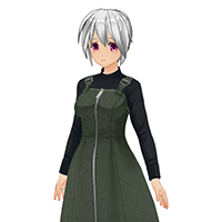 前拉链连衣裙套装