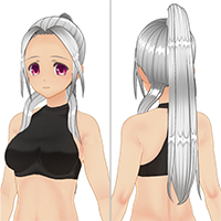 日式马尾辫发型套