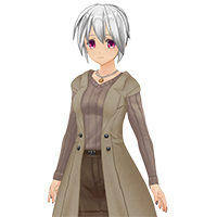 优雅无袖大衣套装