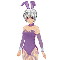 优雅兔女郎连身衣装
