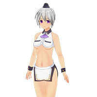 性感的女服务员服装套装