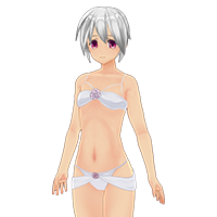 维纳斯内衣套装