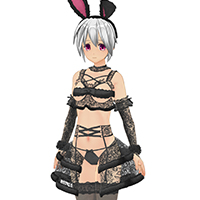 性感蕾丝兔女郎套装