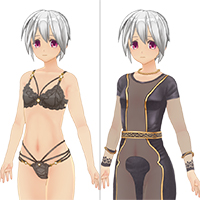 3D定制女仆2 AV包 Vol.02服装套装