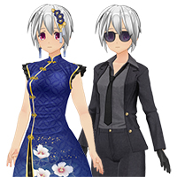 秘密特工上衣和旗袍套装