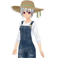 乡村吊带裤套装