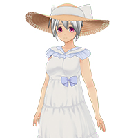 蓬松夏季连衣裙套装